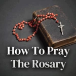 how to pray the rosary - holy android application logo